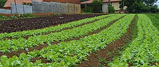 Sindicato Rural quer voltar a discutir projeto de Mercadão