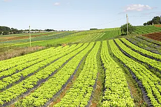 Diretoria de Agricultura promove palestra sobre cuidados com solo