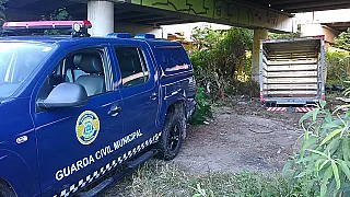 GCM apreende drogas e moto adulterada