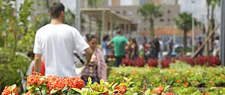 Viveiro Municipal promoverá Carnaval Alternativo no dia 22
