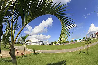 Parque Max Feffer recebe ‘Pelc Pela Paz’ neste sábado