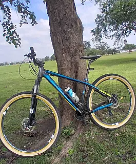 GCM apreende suspeitos por roubo de bicicleta