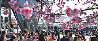 Tradicionais eventos da colônia japonesa seguem suspensos