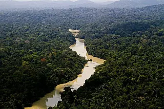 Funai faz contato com índios isolados no Amazonas