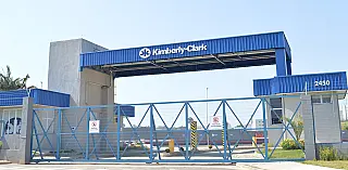 Kimberly-Clark Brasil anuncia Andrea Rolim como nova presidente de operação no País