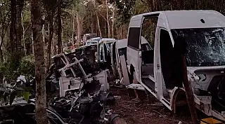 Polícia Militar localiza desmanche de veículos em área de mata; três são presos
