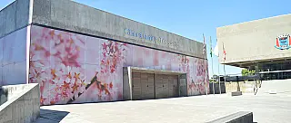 Acessibilidade digital da Câmara de Suzano será apresentada nesta terça-feira em Brasília