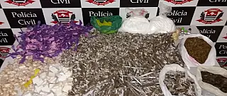Polícia Civil detém traficante e apreende mais de 12 quilos de drogas