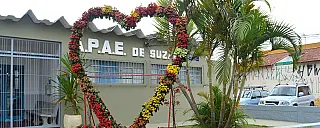 Apae deve retornar com atendimento presencial de forma gradual em outubro