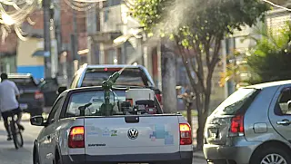Zoonoses realiza nebulização na Cidade Edson