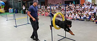 Cães da GCM se apresentam para 1,8 mil pessoas no mês das crianças