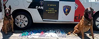 Equipe do Canil da PM apreende mais de 3 quilos de drogas no Jardim Dona Benta