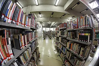 Biblioteca Municipal recebe 200 novos livros por meio de parceria com Estado