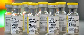 Mogi orienta crianças de quatro anos a tomarem vacina contra febre amarela