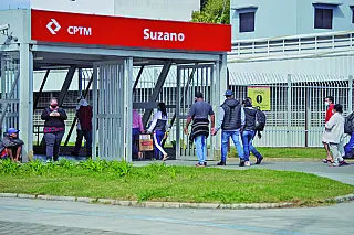 Animais abandonados em frente à estação são adotados