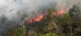 Condemat promove treinamento da Operação Corta Fogo no Alto Tietê