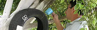 Casos de dengue disparam e sobem 142% no Alto Tietê no início do ano