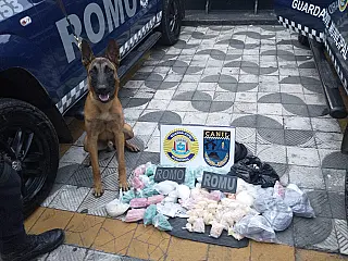 Operação da GCM apreende 11 quilos de drogas no Jardim Monte Cristo