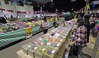 Feira noturna do Mercado do Produtor estará em ritmo de Carnaval nesta sexta