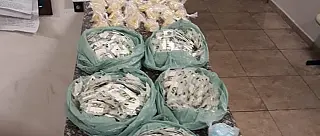 Mulher é presa com mil papelotes de cocaína