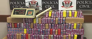 Polícia Civil realiza maior apreensão de maconha de Suzano