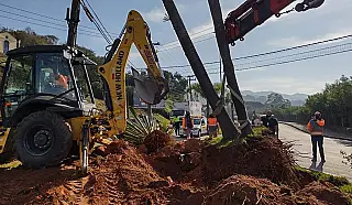 Mogi inicia obras na Perimetral e faz transplantio de nove palmeiras