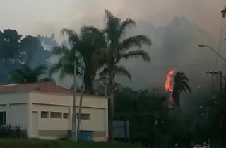 Moradores de César de Souza relatam queimadas na mata