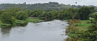 Ações dos municípios da região celebram o Dia do Meio Ambiente