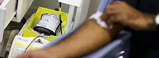 Só doação regular de sangue mantém estoques, diz ministério