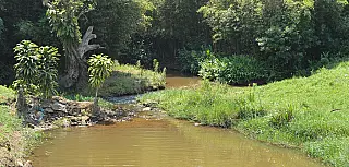 Rio Tietê e Córrego Balainho recebem classificação ‘regular’ em novo relatório da SOS Mata Atlântica