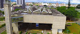 Prefeitura intensifica ações de poda e novos plantios