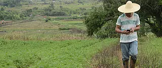 Agricultores se preocupam com tempo seco e contabilizam perdas
