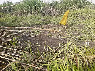 Guarda Municipal encontra dois corpos em área rural de Jundiapeba