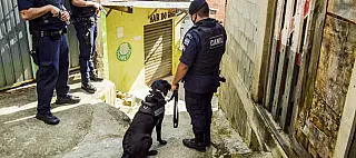 Cão Policial localiza drogas no Marengo Baixo