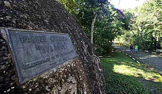 Visita monitorada deste sábado ao Parque Municipal tem inscrições abertas
