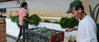Agricultores cobram mais segurança ao futuro governador