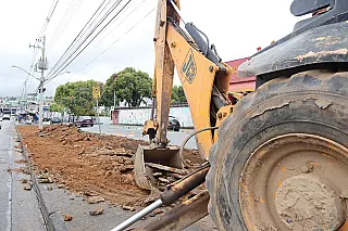 Revitalização de canteiro central da avenida Jaguari entra na última fase