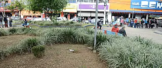 Setor de Zoonoses fará vistoria em praça após queixas de infestação de ratos