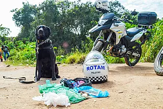 Suspeito por tráfico de drogas é detido no Marengo