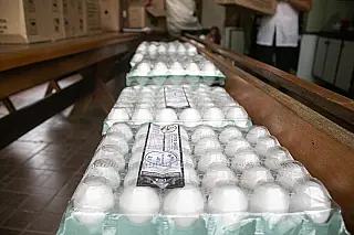 Fundo Social de Ferraz faz doação de alimentos