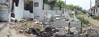 Abandono e invasão de pragas urbanas preocupam Jd. Belém