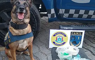 Suspeito por tráfico de drogas é encotrado morto no Dona Benta