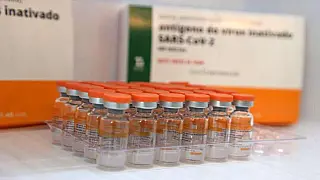 SP confirma chegada de insumo para mais 8,7 milhões de vacinas no dia 10 de fevereiro