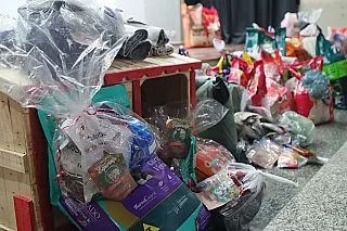 Campanha de apadrinhamento contempla 100% dos pets participantes