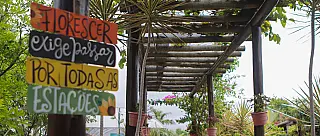 Viveiro retoma atividades de educação ambiental