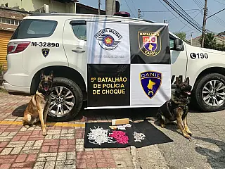 Equipe do Canil da PM apreende drogas em Ferraz
