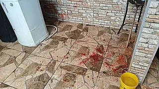 Homem é preso suspeito de esfaquear cão e ameaçar irmã em Itaquá