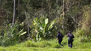 Grupos de fiscalização integrada reforçam monitoramento em área de manancial