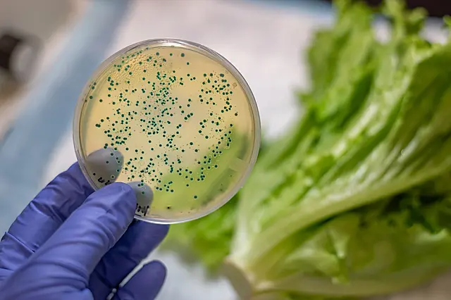 Águas e alimentos contaminados infectam 96 pessoas no Alto Tietê - Diário  de Suzano