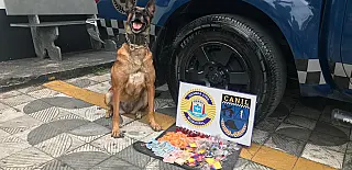 GCM apreende drogas e recupera veículos roubados